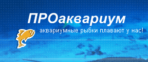 Proakvarium.narod.ru